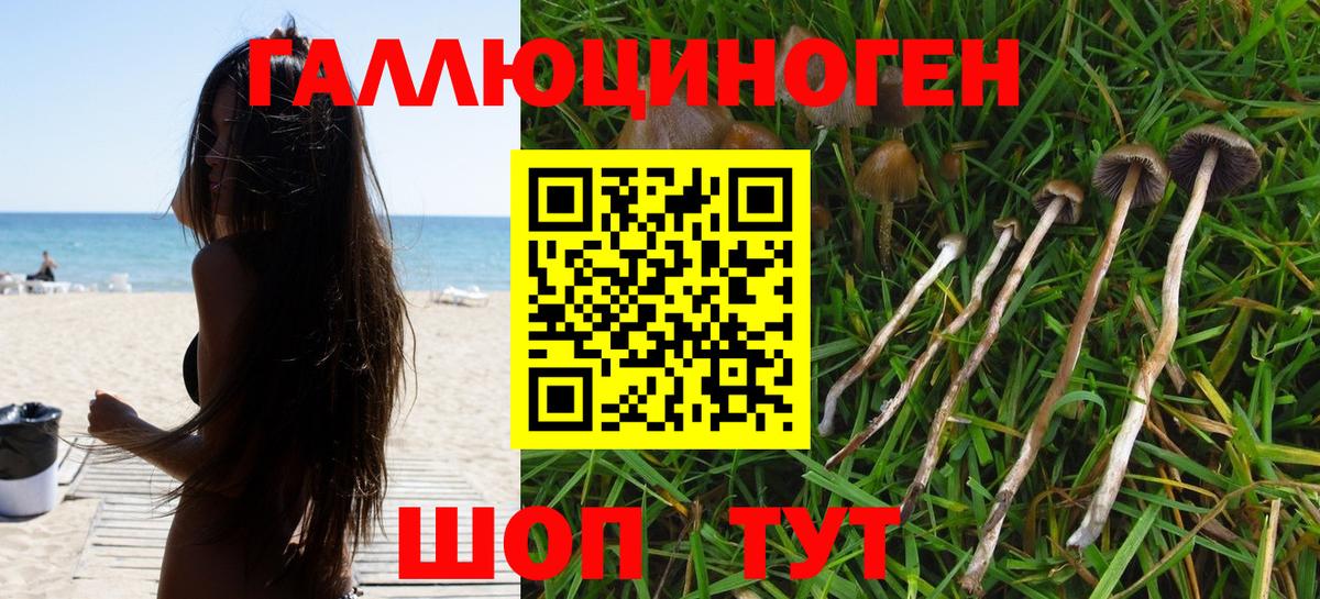 Галлюциногенные грибы прущие грибы  Псилоцибиновые грибы ЛСД  Вход с VPN  Саянск 