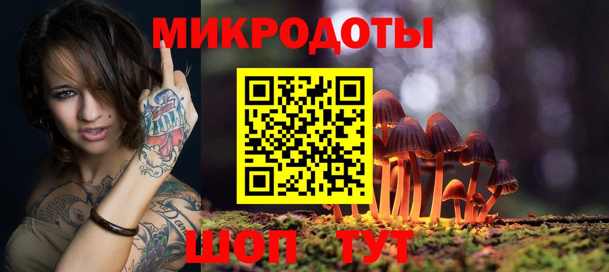 Псилоцибиновые грибы Psilocybine cubensis Саянск